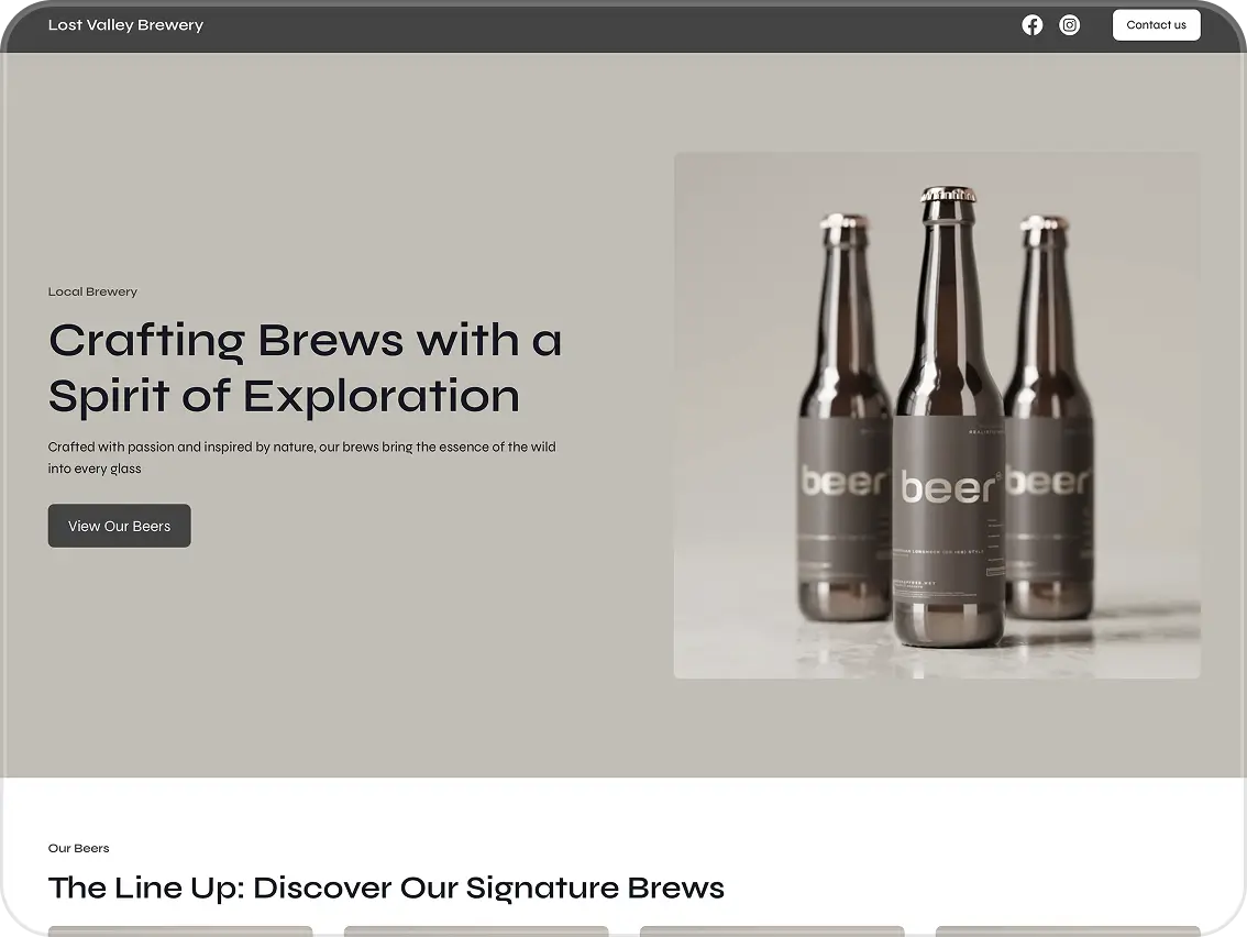 Website mock